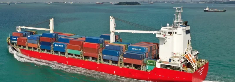 SONGA LIONESS Container Ship IMO 9426324 photo 6