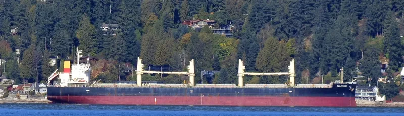 SHELTER ISLAND Bulk Carrier IMO 9426336 photo 3