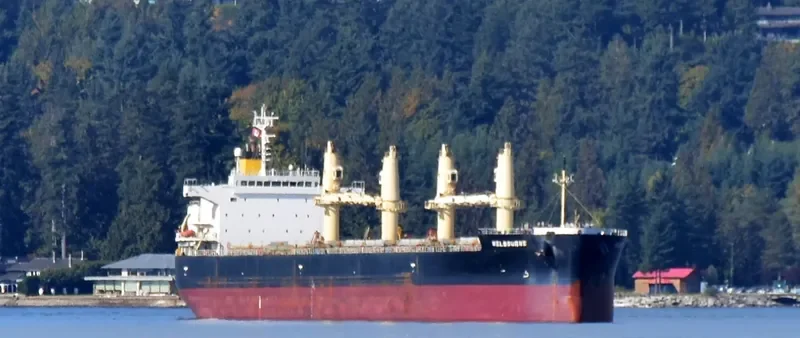 SHELTER ISLAND Bulk Carrier IMO 9426336 photo 5