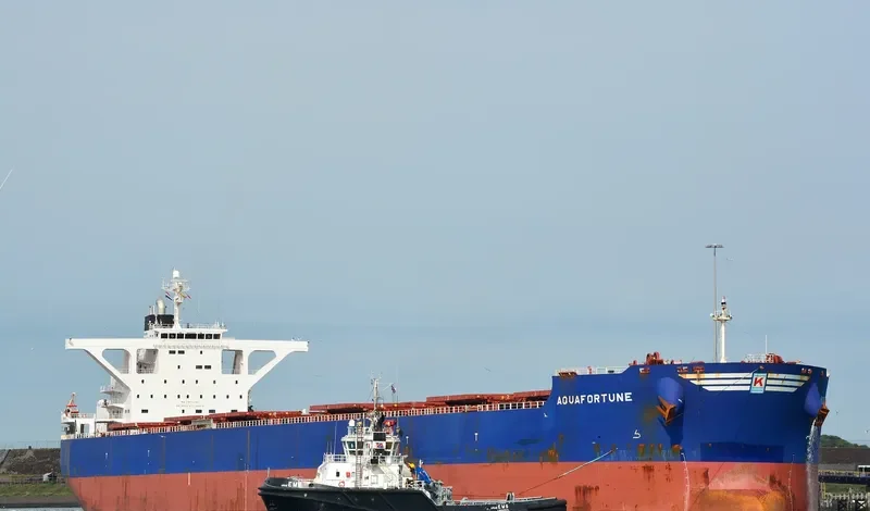 AQUAFORTUNE Bulk Carrier IMO 9426427 photo 2