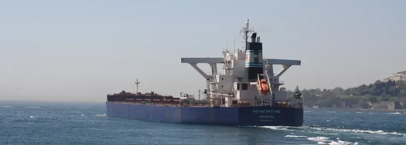 AQUAFORTUNE Bulk Carrier IMO 9426427 photo 9
