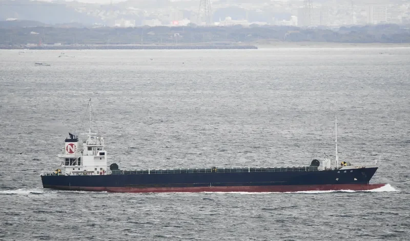 SUN YEONG General Cargo IMO 9426532 photo 2