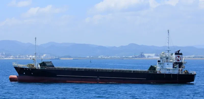 SUN YEONG General Cargo IMO 9426532 photo 5