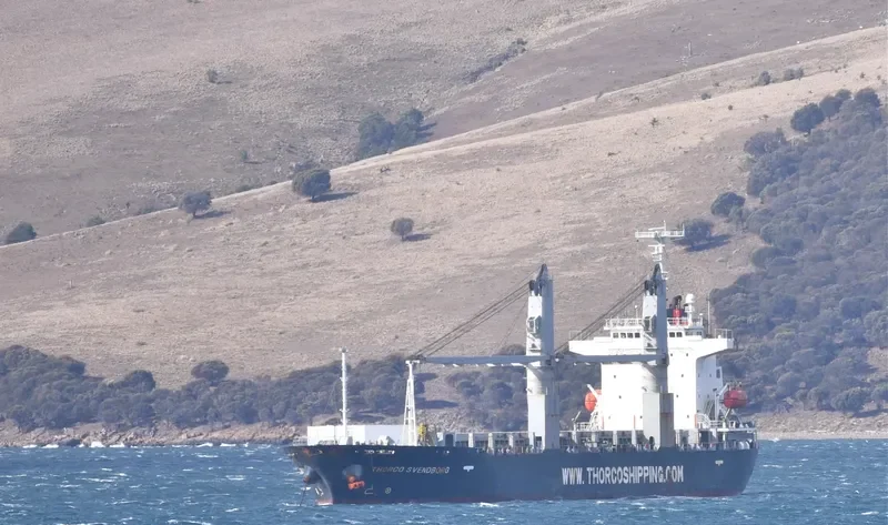 NEW BRIDGE General Cargo IMO 9426570 photo 10
