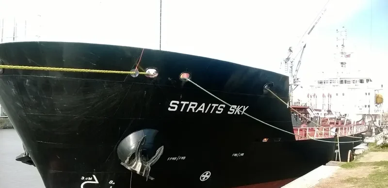 STRAITS SKY General Cargo IMO 9426635 photo 10