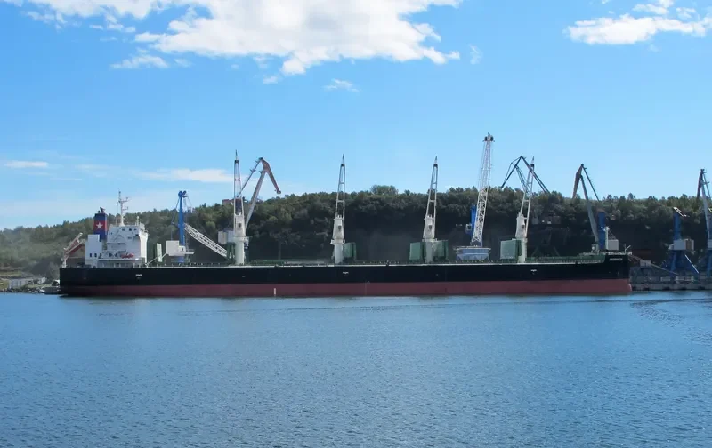 ANDROMEDA Bulk Carrier IMO 9426714 photo 2