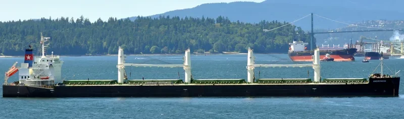 ANDROMEDA Bulk Carrier IMO 9426714 photo 4