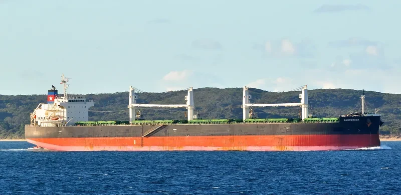 ANDROMEDA Bulk Carrier IMO 9426714 photo 9