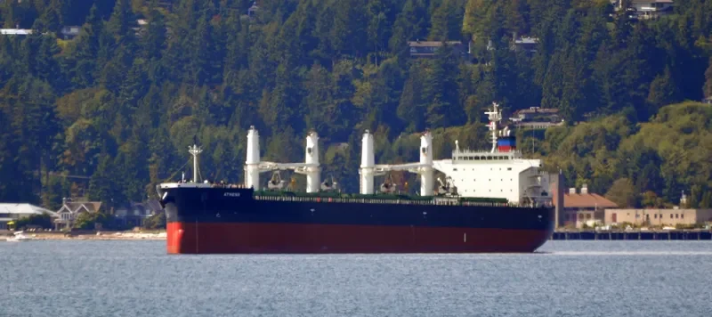 ATHENA Bulk Carrier IMO 9426726 photo 9