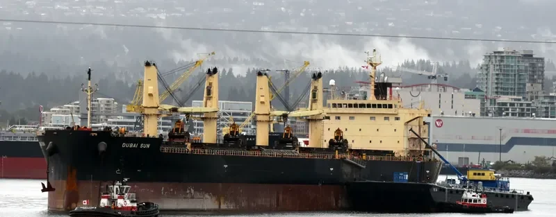 DUBAI SUN Bulk Carrier IMO 9426740