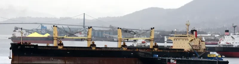DUBAI SUN Bulk Carrier IMO 9426740 photo 2