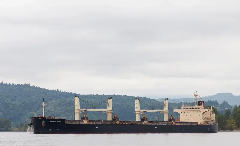 DUBAI SUN Bulk Carrier IMO 9426740 photo 6
