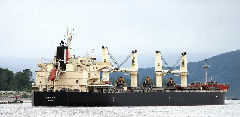 DUBAI SUN Bulk Carrier IMO 9426740 photo 7
