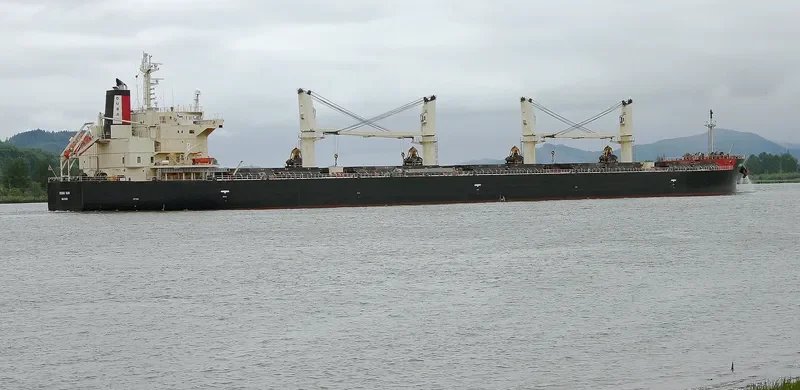DUBAI SUN Bulk Carrier IMO 9426740 photo 8