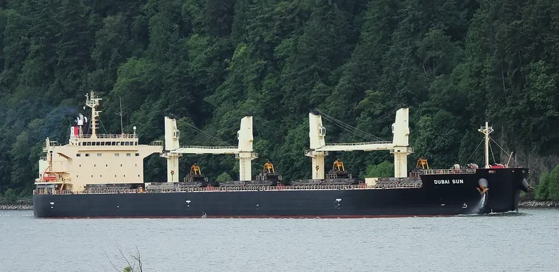 DUBAI SUN Bulk Carrier IMO 9426740 photo 9