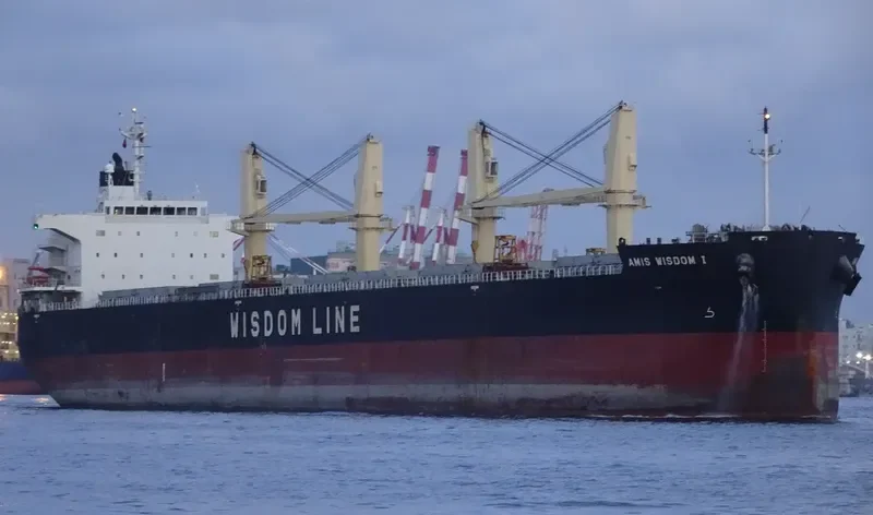 AMIS WISDOM I Bulk Carrier IMO 9426764