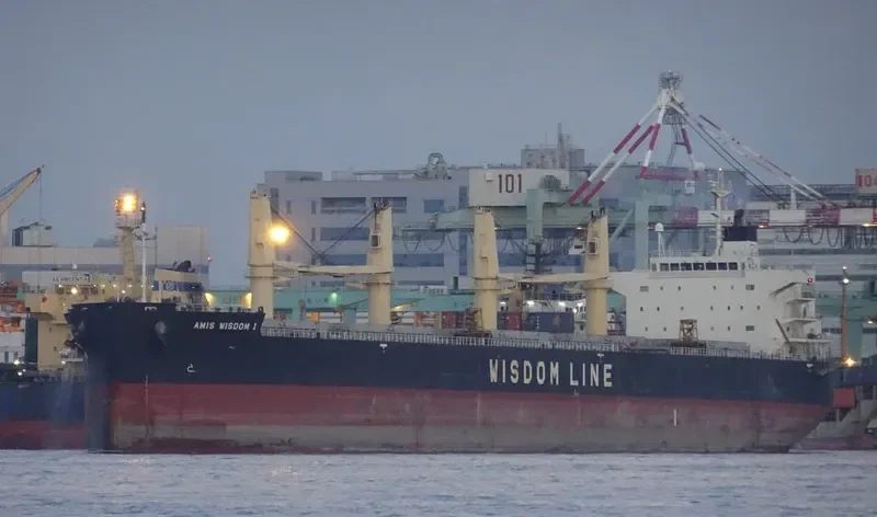 AMIS WISDOM I Bulk Carrier IMO 9426764 photo 3