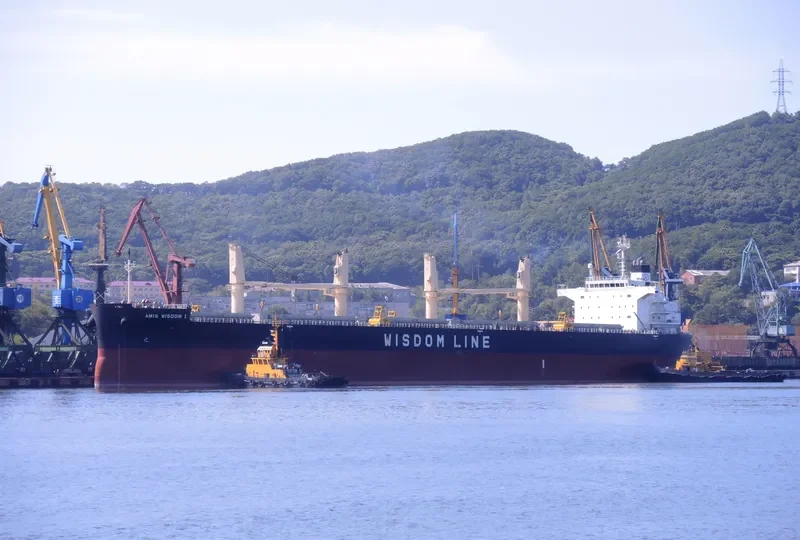 AMIS WISDOM I Bulk Carrier IMO 9426764 photo 4