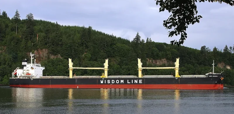AMIS WISDOM I Bulk Carrier IMO 9426764 photo 6