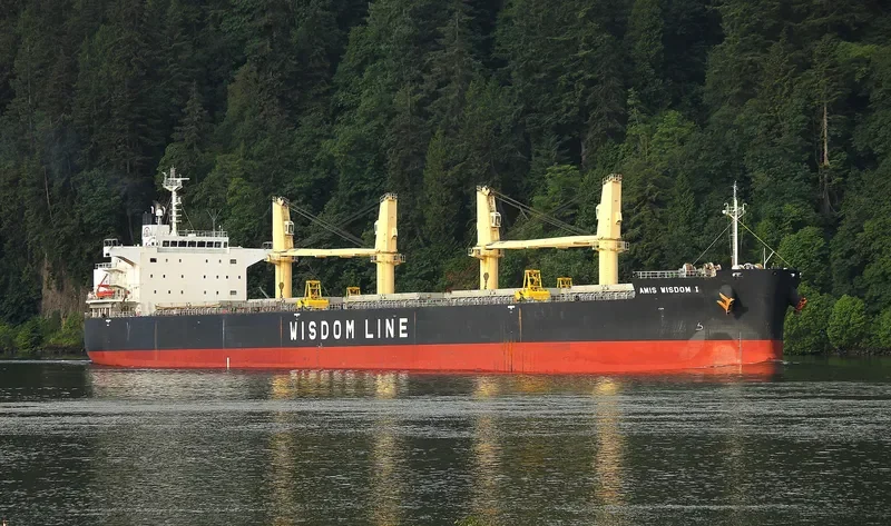 AMIS WISDOM I Bulk Carrier IMO 9426764 photo 8