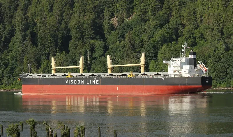 AMIS WISDOM I Bulk Carrier IMO 9426764 photo 9