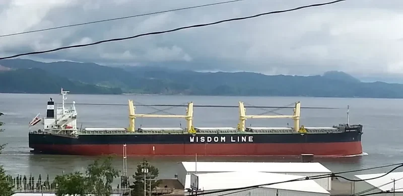 AMIS WISDOM I Bulk Carrier IMO 9426764 photo 10
