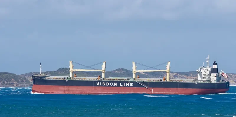 AMIS WISDOM II Bulk Carrier IMO 9426776