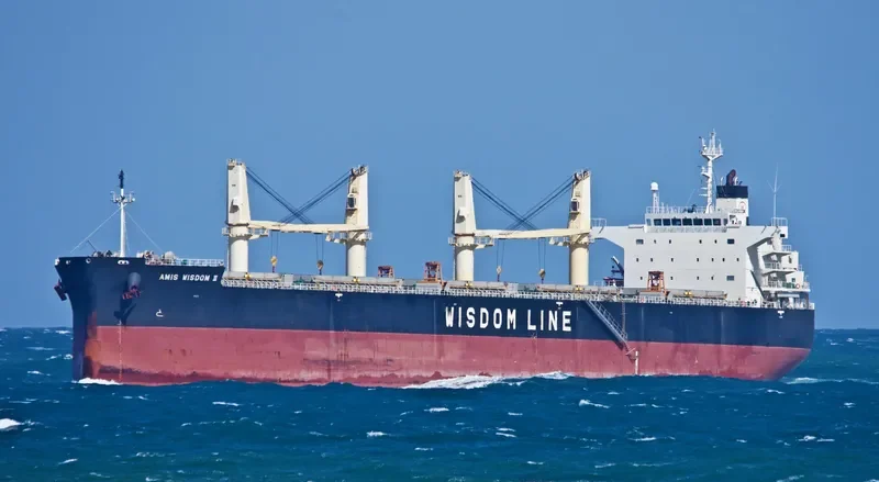 AMIS WISDOM II Bulk Carrier IMO 9426776 photo 3