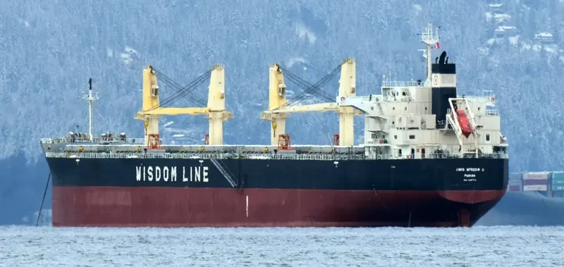 AMIS WISDOM II Bulk Carrier IMO 9426776 photo 5