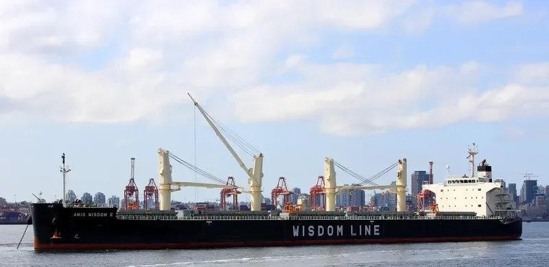 AMIS WISDOM II Bulk Carrier IMO 9426776 photo 6