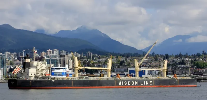 AMIS WISDOM II Bulk Carrier IMO 9426776 photo 7