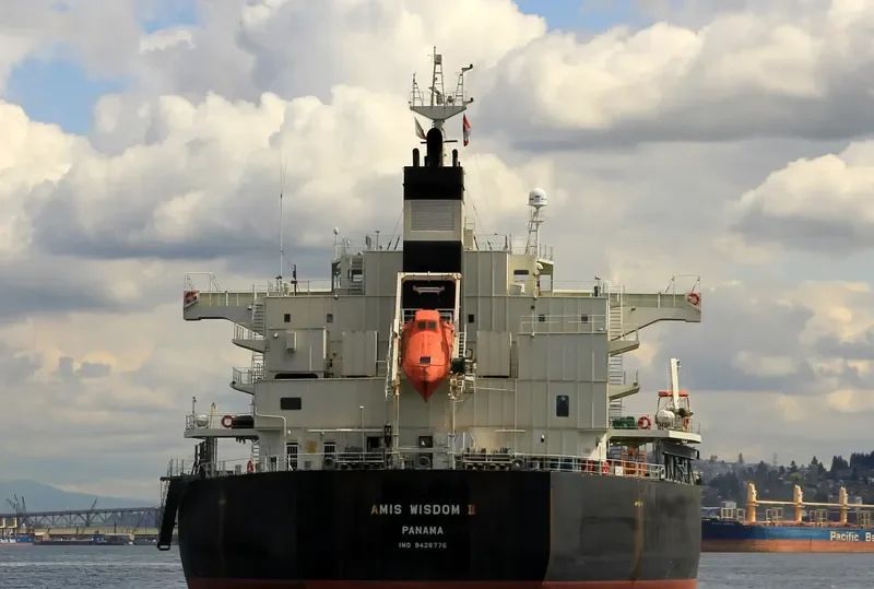 AMIS WISDOM II Bulk Carrier IMO 9426776 photo 9