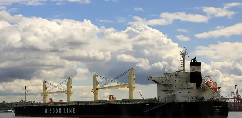 AMIS WISDOM II Bulk Carrier IMO 9426776 photo 10