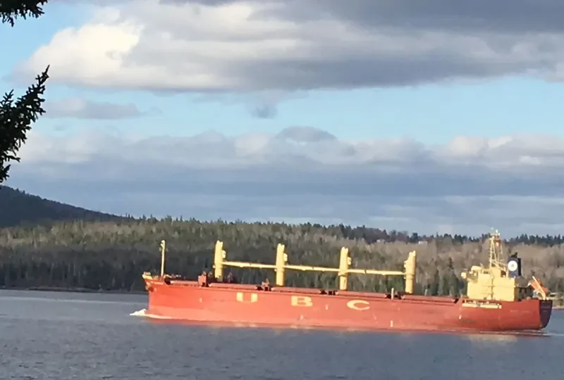 UBC SALAVERRY General Cargo IMO 9426881 photo 6