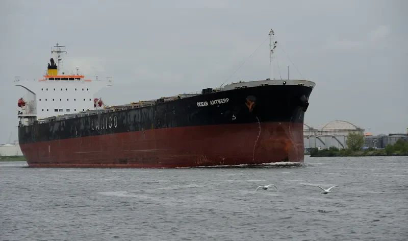 OCEAN ZENON Bulk Carrier IMO 9427029 photo 4