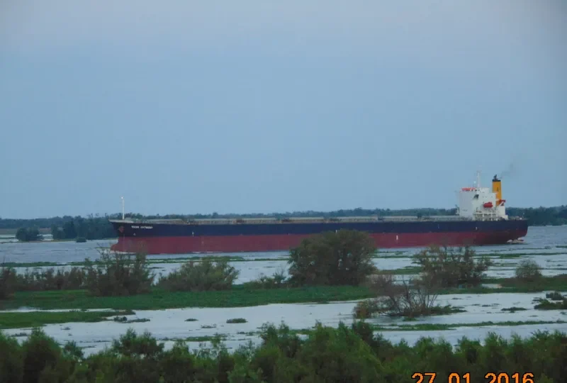 OCEAN ZENON Bulk Carrier IMO 9427029 photo 8