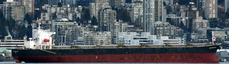 RISING LION Bulk Carrier IMO 9427031