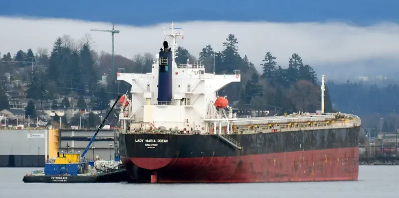 RISING LION Bulk Carrier IMO 9427031 photo 2