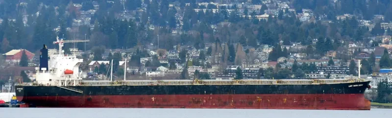 RISING LION Bulk Carrier IMO 9427031 photo 3