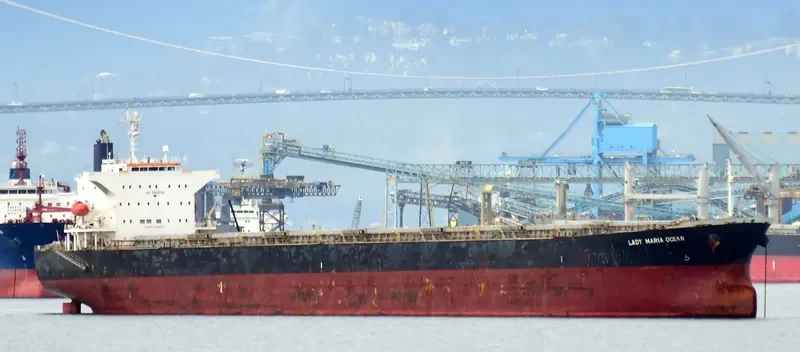 RISING LION Bulk Carrier IMO 9427031 photo 4