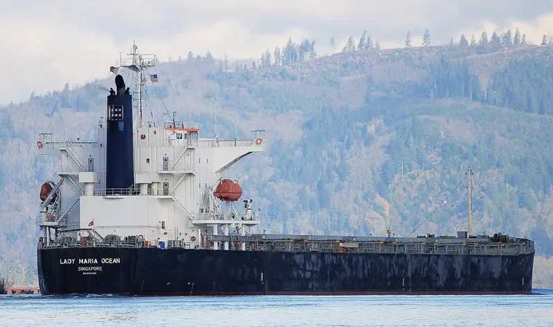 RISING LION Bulk Carrier IMO 9427031 photo 5