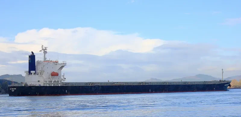 RISING LION Bulk Carrier IMO 9427031 photo 6
