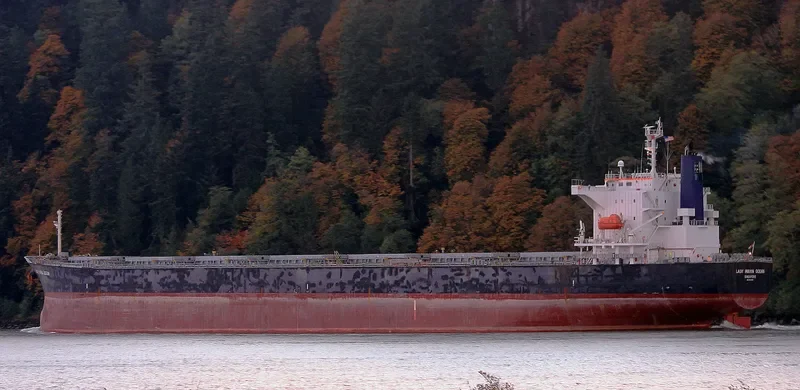 RISING LION Bulk Carrier IMO 9427031 photo 7