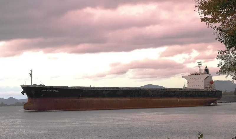 RISING LION Bulk Carrier IMO 9427031 photo 8