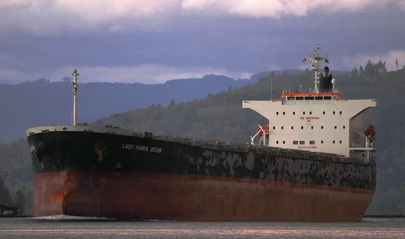 RISING LION Bulk Carrier IMO 9427031 photo 9
