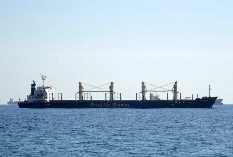 DAIWAN WISDOM Bulk Carrier IMO 9427134