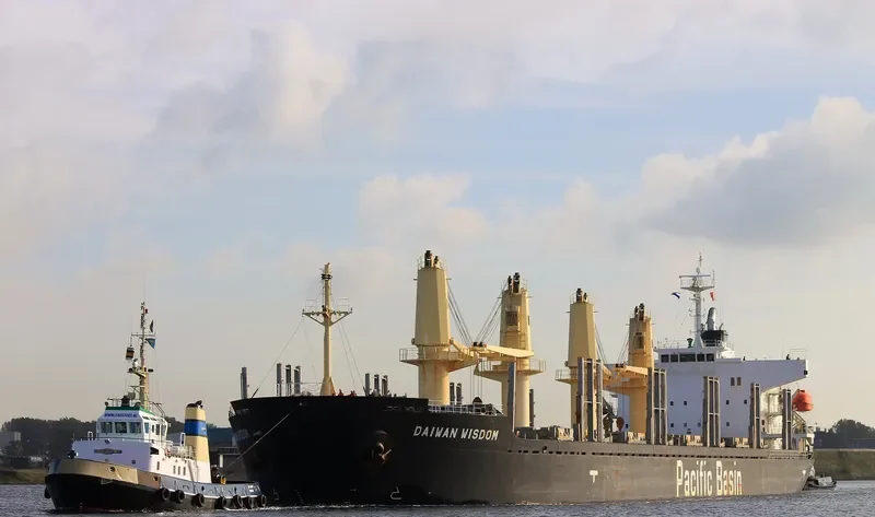 DAIWAN WISDOM Bulk Carrier IMO 9427134 photo 7