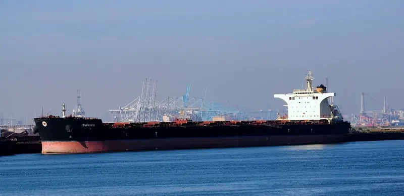 SAVINA Bulk Carrier IMO 9427316 photo 3