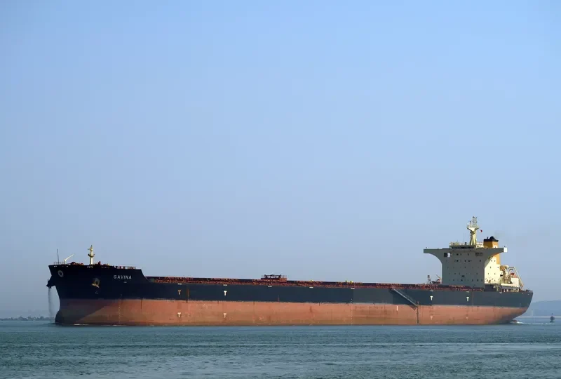SAVINA Bulk Carrier IMO 9427316 photo 4