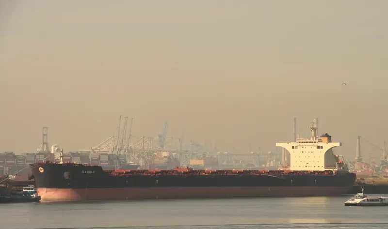 SAVINA Bulk Carrier IMO 9427316 photo 5